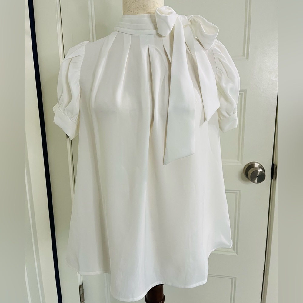 Gracia Pleated Blouse - Picture 5 of 11